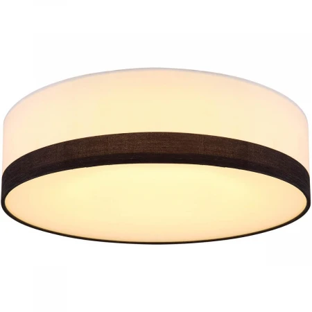 Потолочный светодиодный светильник Globo Maggy 15385D1