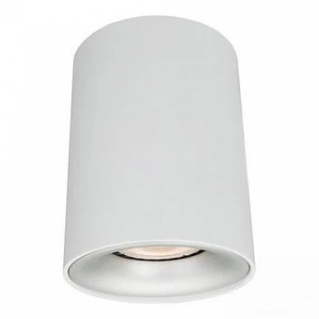 Потолочный светильник Arte Lamp Torre A1532PL-1WH