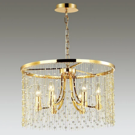 Люстра Odeon Light 4844/6 Raini