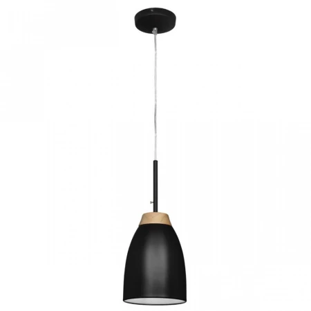 Светильник Loft IT LOFT4402A-BL Watchman