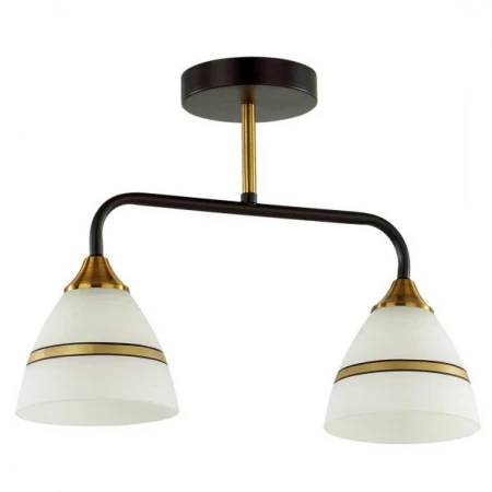 Светильник Lumion 5214/2CA NETTIE