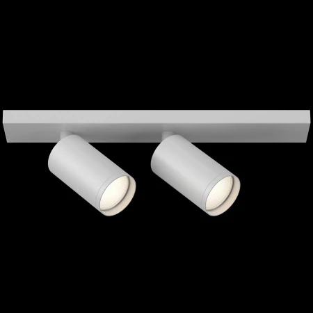 Точечный светильник Maytoni C051CL-2W FOCUS S