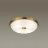 Потолочный светильник Odeon Light Pelow 4956/4