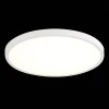 Настенно-потолочный светодиодный светильник ST Luce ST601.532.32