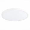 Настенно-потолочный светодиодный светильник ST Luce ST601.532.32