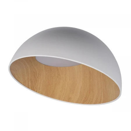 Потолочный светодиодный светильник Loft IT Egg 10197/500 White