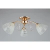 Потолочная люстра Omnilux Caldiero OML-29007-03
