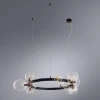 Подвесная люстра Arte Lamp Vincent A7790SP-15BK
