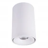 Потолочный светодиодный светильник Elvan NLS-T0155-8W-WW-WHT