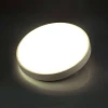 Настенно-потолочный светодиодный светильник Sonex Losta 7628/AL