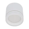 Потолочный светильник Reluce 53003-9.5-001LD GX53 WT