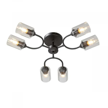 Потолочная люстра Vitaluce V2822-1/6PL