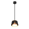 Подвесной светильник Arte Lamp Amaks A8028SP-1BK Подвесной светильник Arte Lamp Amaks A8028SP-1BK