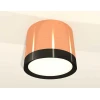 Комплект накладного светильника Ambrella light Techno Spot XS (C8122, N8113) XS8122001