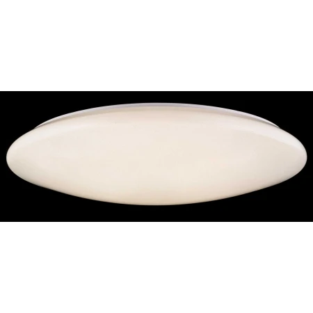 89125/100W WHITE (1) Люстра Veneto Luce 