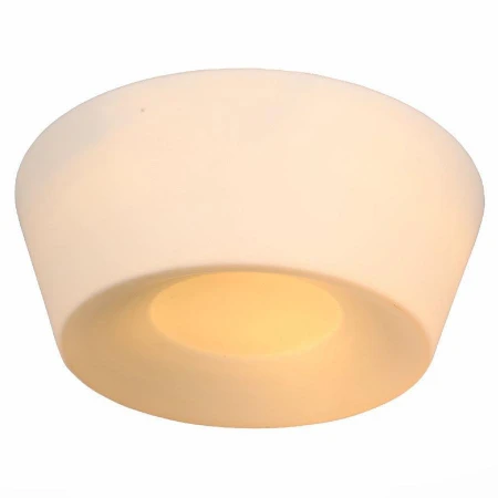 Светильник ST LUCE SL296.502.02 ADATTO