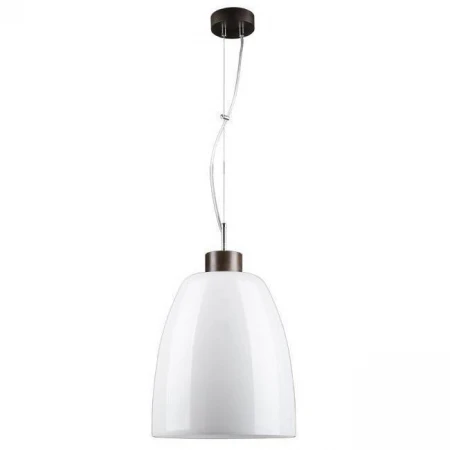 Светильник Spot Light 9844076 Campana