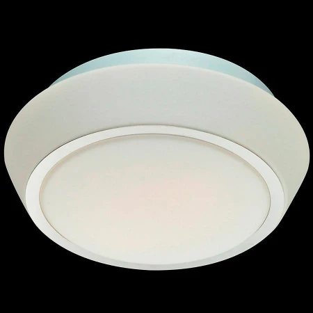 Светильник для ванной комнаты ST LUCE SL496.502.02