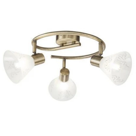 Спот Freya FR7001CL-03BZ Paola