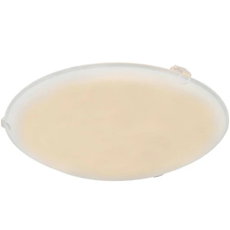 Настенно-потолочный светильник Globo 40989 Holly