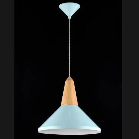 Светильник Maytoni P996-PL-01-L Trottola