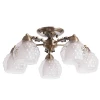 Потолочная люстра Arte Lamp Malina A7695PL-5AB