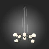 Подвесная люстра ST Luce Legatezza SL1502.403.08