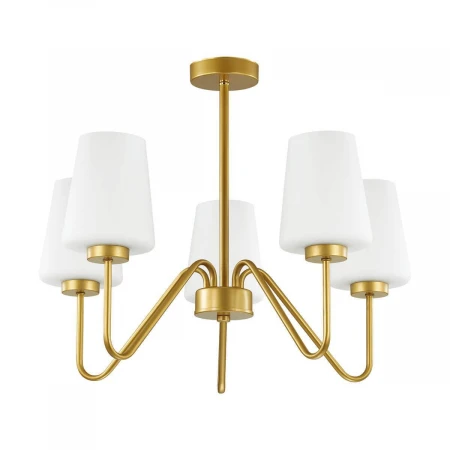 Подвесная люстра Lumion Olivia 3791/5C