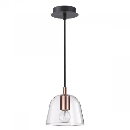 Подвесной светильник Lumion Joseph 4455/1