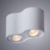 Потолочный светильник Arte Lamp Falcon A5645PL-2WH