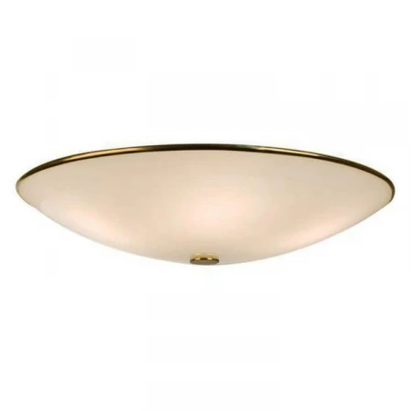 Потолочный светильник Citilux Комфорт CL911602