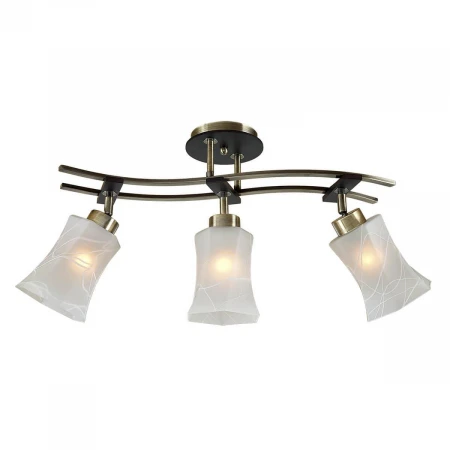 Спот Citilux Мерида CL142133