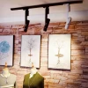 Трековый светодиодный светильник Arte Lamp A2512PL-1WH
