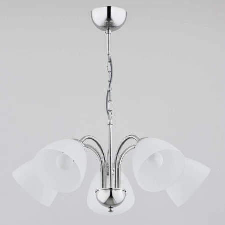 Подвесная люстра Alfa Tora 21255