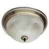 Потолочный светильник Arte Lamp 16 A1305PL-2AB