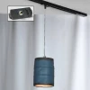 Трековый светильник однофазный Lussole LOFT Track Lights LSP-9525-TAB